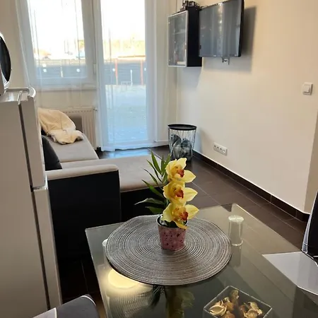 Wellness シオーフォク