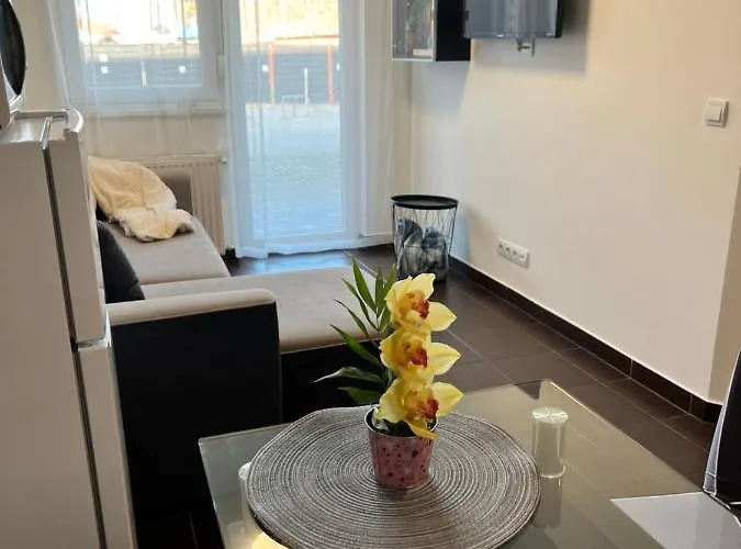 Wellness Siofok